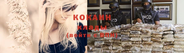 винт Галич