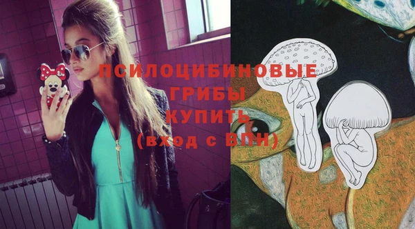 марки lsd Абаза