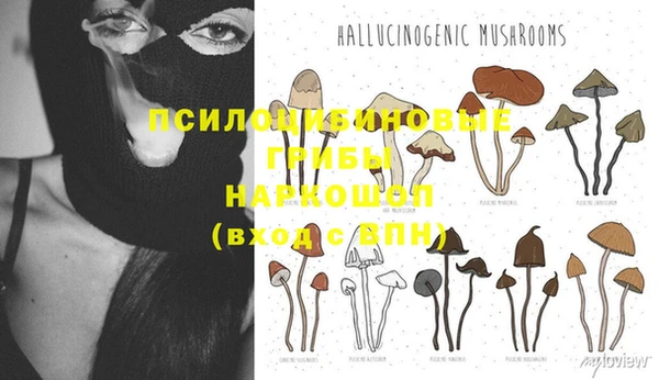 гидропоника Россошь